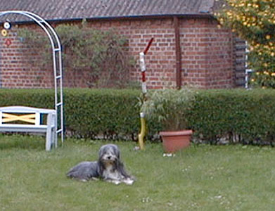 Bild 2 von 65
